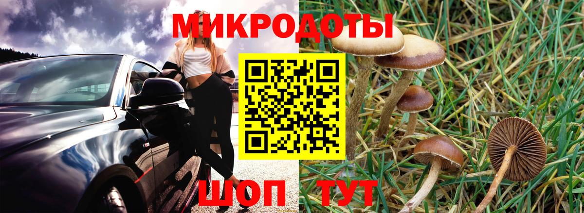 Галлюциногенные грибы GOLDEN TEACHER  Вход с VPN  Рыбинск 