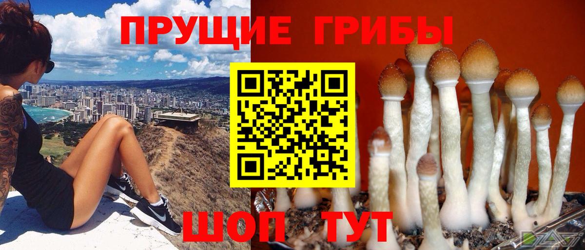 Галлюциногенные грибы Cubensis Рыбинск